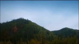 Gold Rush - Season 12 Episode 21